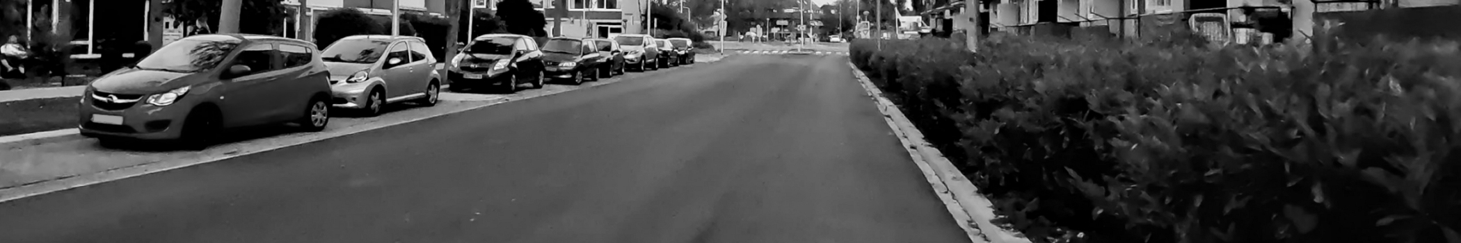 vogelbuurt - Alphen aan den Rijn